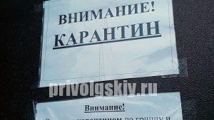 Эпидемия ОРВИ. На карантин закрылись 70 школ области