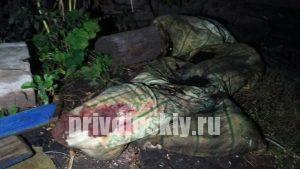Тройное убийство в Энгельсе. Один из насильников получил пожизненный срок