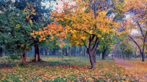 Сегодня в Энгельсе ожидается тёплый день