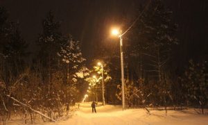 В энгельсском лесу проложена лыжная трасса, которая освещается в вечернее время