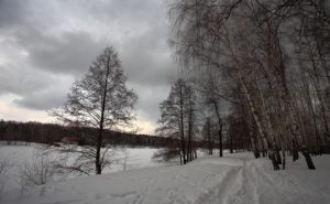 Синоптики обещают пасмурную и снежную субботу