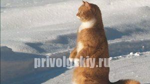 Михаил Болтухин: "До весны еще очень далеко"