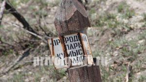 Число заболевших геморрагической лихорадкой саратовцев достигло 200