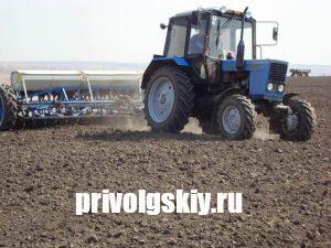 В Энгельсском районе засеяно 18,4 тысяч га яровых культур