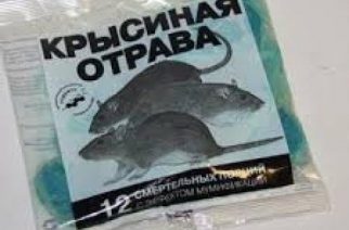 В детском саду дети отравились крысиным ядом