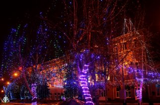 В конкурсе фоторабот «В ожидании праздника. Новогодний Энгельс» приняли участие 50 авторов