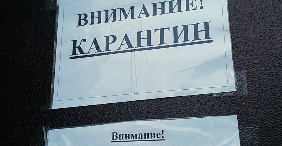 Эпидемия ОРВИ. На карантин закрылись 70 школ области