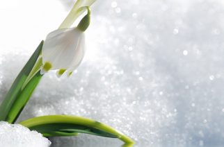 Михаил Болтухин: «Весна начнется на следующей неделе»