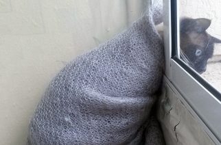В эти выходные в Саратовской области продолжится похолодание