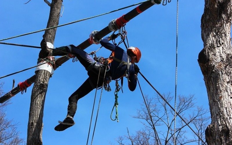 Энгельсские спортсмены – в числе сильнейших в чемпионате Саратовской области по спортивному туризму