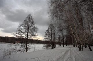 Синоптики обещают пасмурную и снежную субботу
