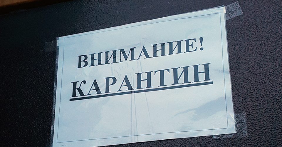 Все школы Саратова закрываются на карантин
