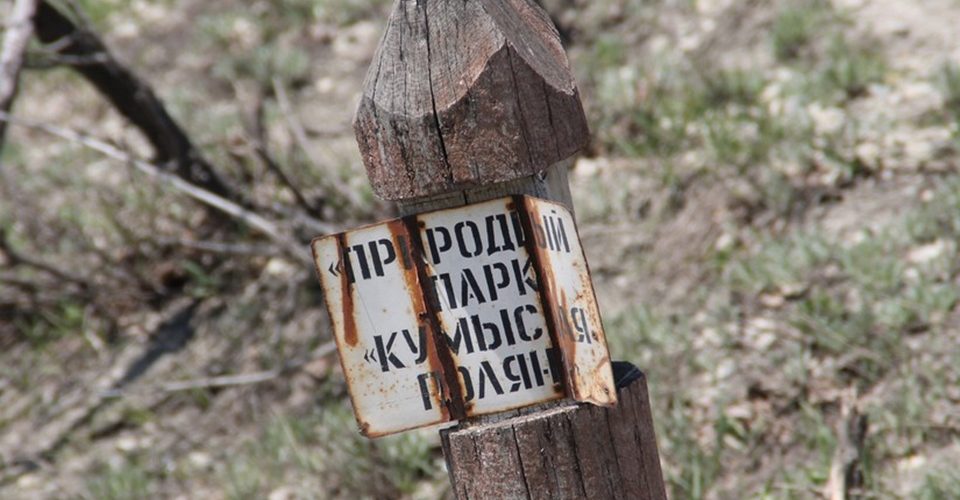 Число заболевших геморрагической лихорадкой саратовцев достигло 200