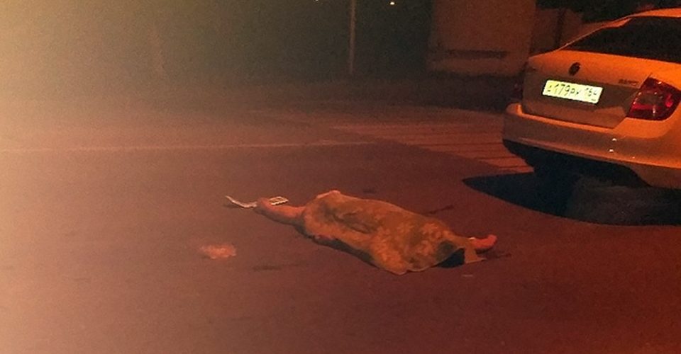 Сбитая двумя машинами в Энгельсе женщина скончалась до приезда врачей
