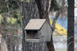 В последнюю неделю апреля  Саратовскую область ждет неустойчивый характер погоды