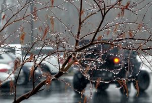 Теплый воздух Атлантики принес в Саратовскую область оттепель