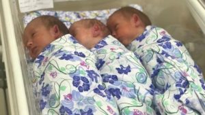 Прекрасное начало Года семьи – в нашем регионе на свет появились две тройни! 