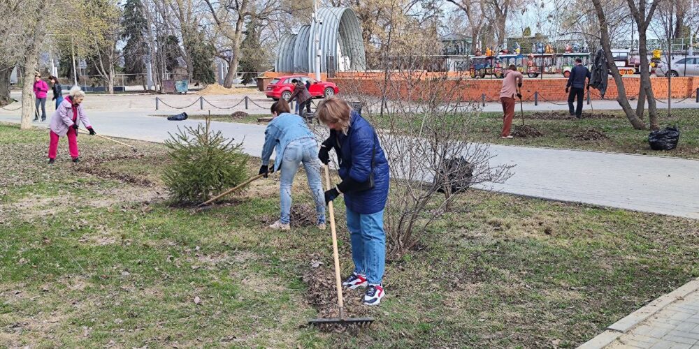В Энгельсе на субботник вышли муниципальные служащие