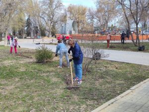 В Энгельсе на субботник вышли муниципальные служащие