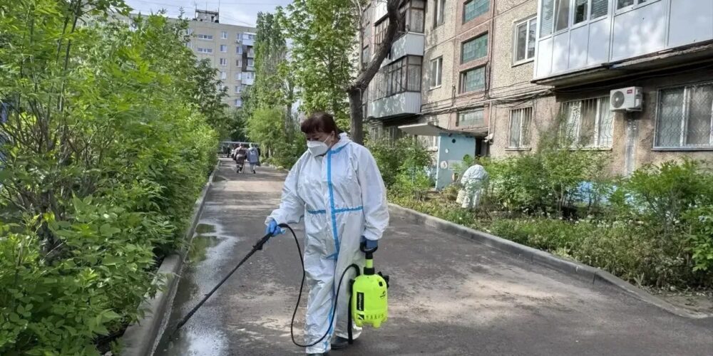В Энгельсе приступили к дезинфекции газонов, пешеходных зон, подъездов