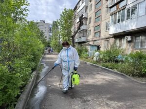 В Энгельсе приступили к дезинфекции газонов, пешеходных зон, подъездов