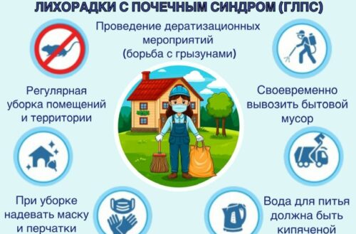 Роспотребнадзор. Геморрагическая лихорадка с почечным синдромом
