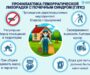 Роспотребнадзор. Геморрагическая лихорадка с почечным синдромом