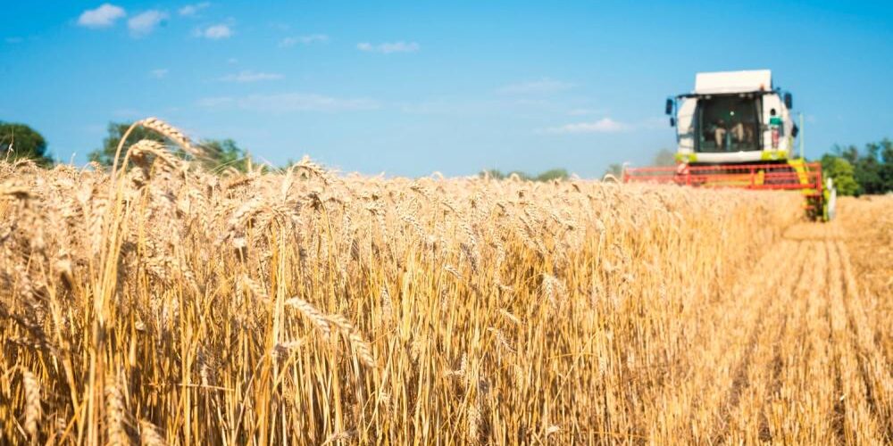 Аграрии Саратовской области собрали первый миллион тонн зерна