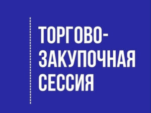 Предприниматели. Торгово-закупочная сессия представителей розничной сети «Магнит»