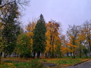 В Саратовской области ожидается теплая погода без существенных осадков